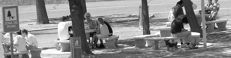 picnic.jpg