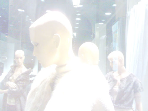 model.jpg