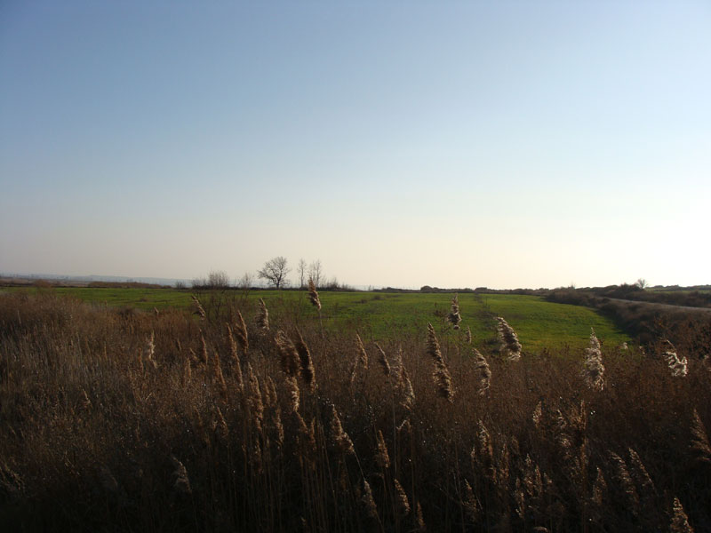 m1.jpg