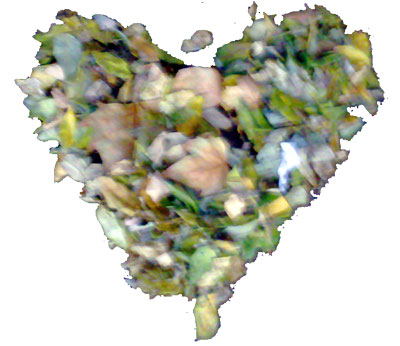 corazondehojaspq.jpg