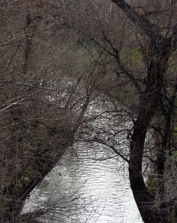 Foto del río Huerva a su paso por Zaragoza