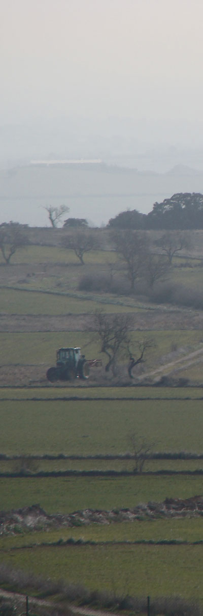 Campos de Laluenga