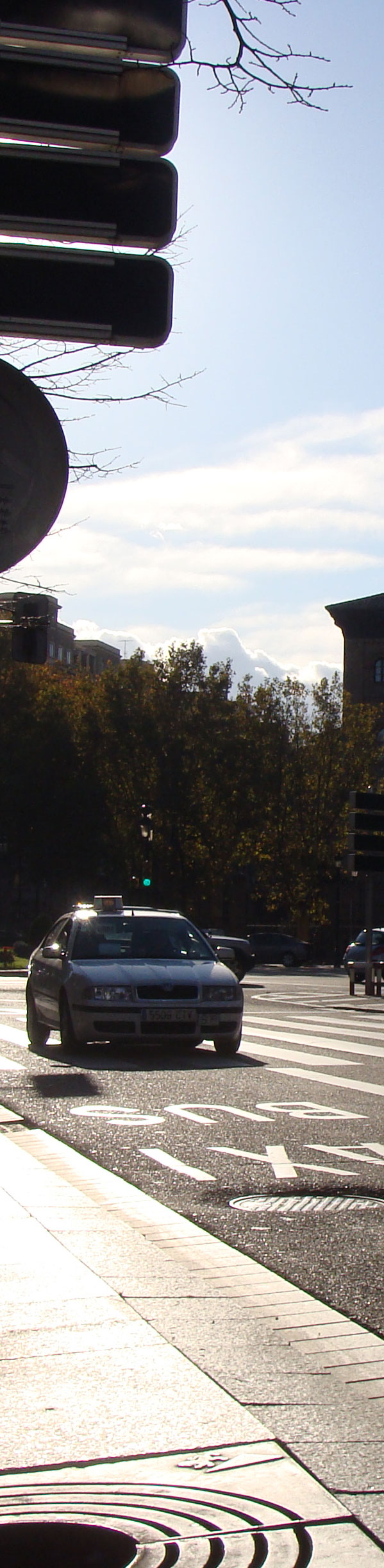 vertzaragoza.jpg