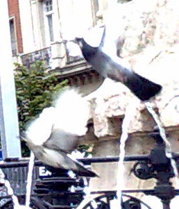 vppzaesp.jpg